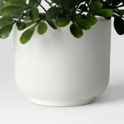 Herb Artificial Plant In White Pot - Room Essentials™ 10 Herb Artificial Plant In White Pot - Room Essentials™ -Room Essentials™ GUEST 043f6992 31be 4448 9e3f 725db59349e3