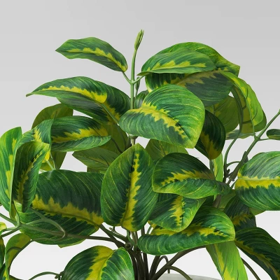Trailing Prayer Artificial Plant - Room Essentials™ 2 Trailing Prayer Artificial Plant - Room Essentials™ - Image 2