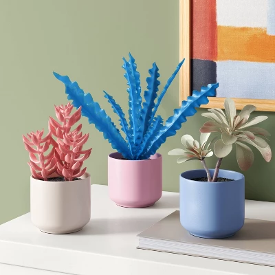 3pk 8.86" Succulent Artificial Plants Multicolor - Room Essentials™ 1 3pk 8.86" Succulent Artificial Plants Multicolor - Room Essentials™