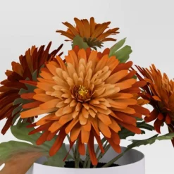 Orange Daisy Mini Arrangement - Room Essentials™ 4 Orange Daisy Mini Arrangement - Room Essentials™ -Room Essentials™ GUEST 3534b8d9 94b7 412f 93a9 7cad62fc87c0