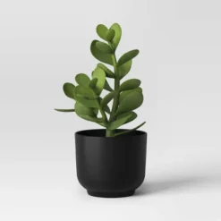 Succulent Artificial In Black Pot - Room Essentials™ 8 Succulent Artificial In Black Pot - Room Essentials™ -Room Essentials™ GUEST 39c4aa68 47f1 486e 8e41 5902428fe6c1