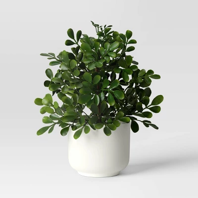 Herb Artificial Plant In White Pot - Room Essentials™ 4 Herb Artificial Plant In White Pot - Room Essentials™ - Image 4