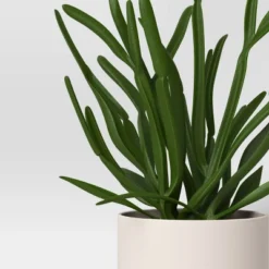 3pk 7.87" Monstera Artificial Plants - Room Essentials™ 7 3pk 7.87" Monstera Artificial Plants - Room Essentials™ -Room Essentials™ GUEST 42aa6e1e 871f 45b2 8f95 a0bff9cd21df