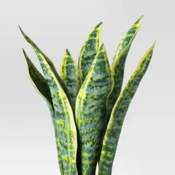 Snake Artificial Potted Plant - Room Essentials™ 4 Snake Artificial Potted Plant - Room Essentials™ -Room Essentials™ GUEST 599d0db2 b2f3 4a18 83d9 28e08d5555d4