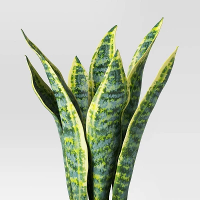 Snake Artificial Potted Plant - Room Essentials™ 2 Snake Artificial Potted Plant - Room Essentials™ - Image 2
