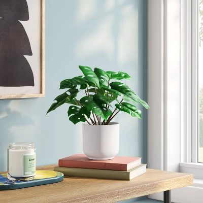 4.6"x7.2" Monstera Artificial Plant - Room Essentials™ 1 4.6"x7.2" Monstera Artificial Plant - Room Essentials™