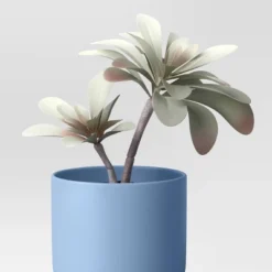 3pk 8.86" Succulent Artificial Plants Multicolor - Room Essentials™ 6 3pk 8.86" Succulent Artificial Plants Multicolor - Room Essentials™ -Room Essentials™ GUEST 713a3c74 4a66 4731 bccf 7c13c81b2f01