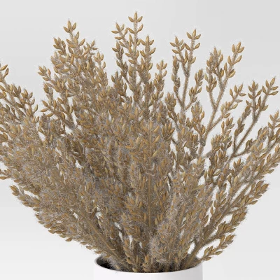 Tan Grass Mini Arrangement - Room Essentials™ 2 Tan Grass Mini Arrangement - Room Essentials™ - Image 2