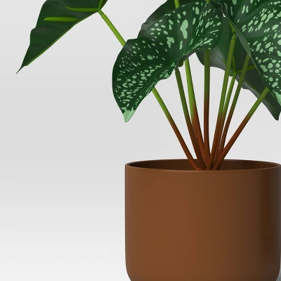 3pk 7.87" Monstera Artificial Plants - Room Essentials™ 2 3pk 7.87" Monstera Artificial Plants - Room Essentials™ - Image 2