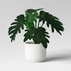 Core Plant Multipack In White Pot - Room Essentials™ 8 Core Plant Multipack In White Pot - Room Essentials™ -Room Essentials™ GUEST 87daa1fd 2e72 41a8 be61 554c95f53ec4
