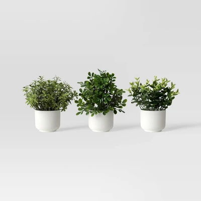 Herb Artificial Plant In White Pot - Room Essentials™ 6 Herb Artificial Plant In White Pot - Room Essentials™ - Image 6
