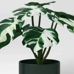 3pk 7.87" Monstera Artificial Plants - Room Essentials™ 6 3pk 7.87" Monstera Artificial Plants - Room Essentials™ -Room Essentials™ GUEST b353e242 fcb5 4c4c affc ddf91298a192