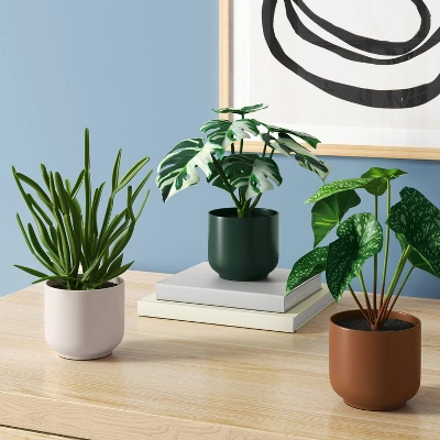 3pk 7.87" Monstera Artificial Plants - Room Essentials™ 1 3pk 7.87" Monstera Artificial Plants - Room Essentials™