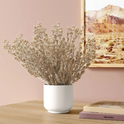 Tan Grass Mini Arrangement - Room Essentials™ 1 Tan Grass Mini Arrangement - Room Essentials™