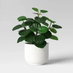 Core Plant Multipack In White Pot - Room Essentials™ 7 Core Plant Multipack In White Pot - Room Essentials™ -Room Essentials™ GUEST ce3585df ff54 4e02 b2cd 15d0ecaf7cf5