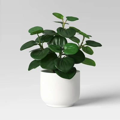 Core Plant Multipack In White Pot - Room Essentials™ 3 Core Plant Multipack In White Pot - Room Essentials™ - Image 3