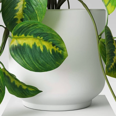 Trailing Prayer Artificial Plant - Room Essentials™ 3 Trailing Prayer Artificial Plant - Room Essentials™ - Image 3