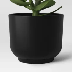 Succulent Artificial In Black Pot - Room Essentials™ 9 Succulent Artificial In Black Pot - Room Essentials™ -Room Essentials™ GUEST e1e9854e 78dc 4f17 bc3a 8dcfcf1bacab