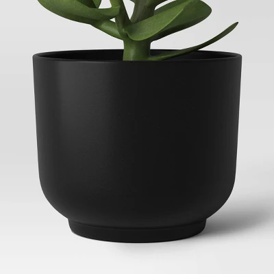Succulent Artificial In Black Pot - Room Essentials™ 5 Succulent Artificial In Black Pot - Room Essentials™ - Image 5