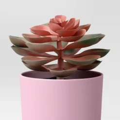 3pk 9.06" Succulent Artificial Plants Pink - Room Essentials™ 6 3pk 9.06" Succulent Artificial Plants Pink - Room Essentials™ -Room Essentials™ GUEST ea051b3d fab8 422e 9832 f1b4ec087c33