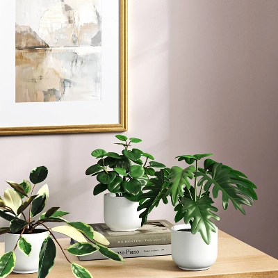 Core Plant Multipack In White Pot - Room Essentials™ 1 Core Plant Multipack In White Pot - Room Essentials™