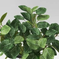 Mosaic Artificial Leaf In White Pot - Room Essentials™ 4 Mosaic Artificial Leaf In White Pot - Room Essentials™ -Room Essentials™ GUEST eff95394 7778 4a1f b32c 7a27066f6eb5